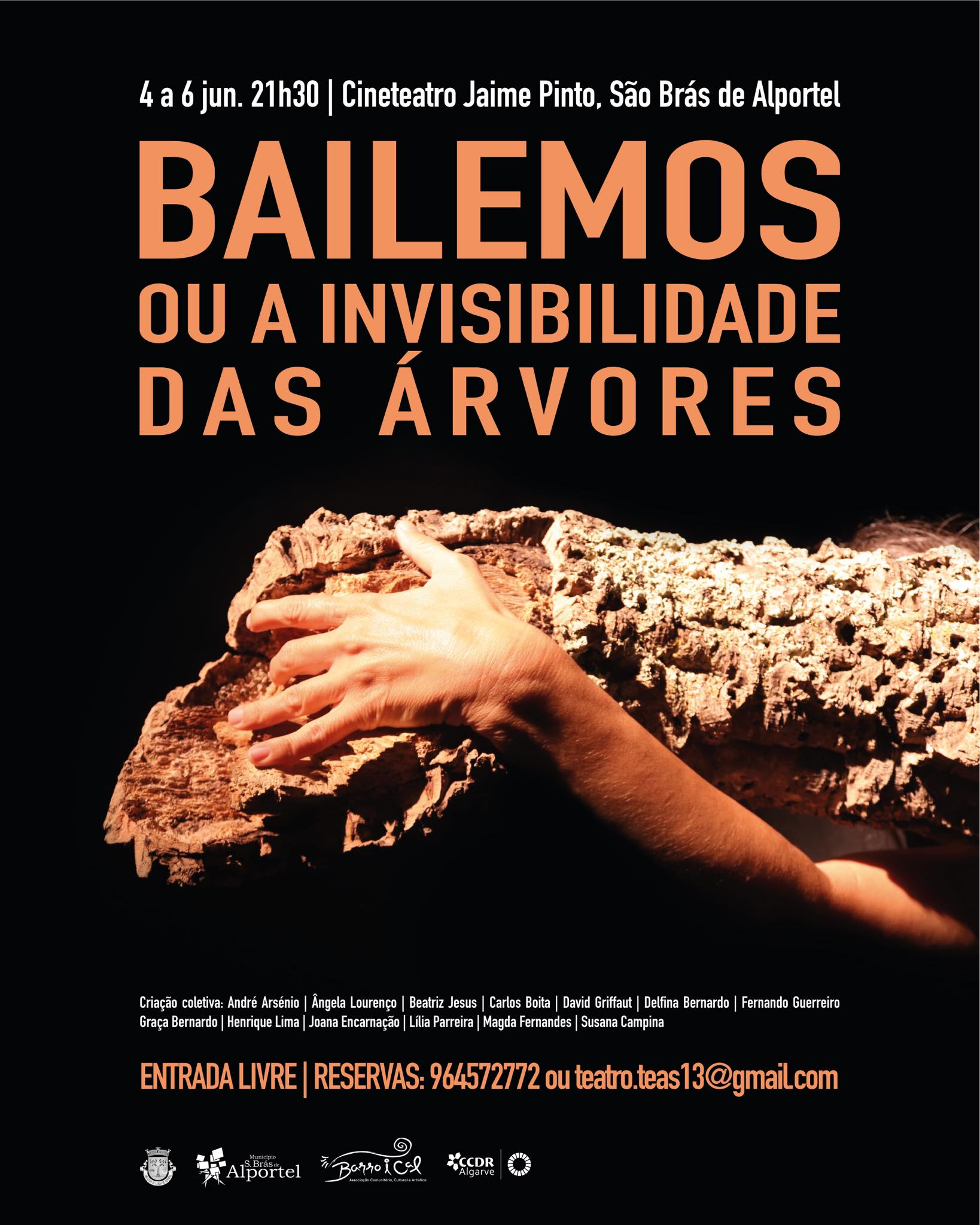“Bailemos ou a invisibilidade das árvores”